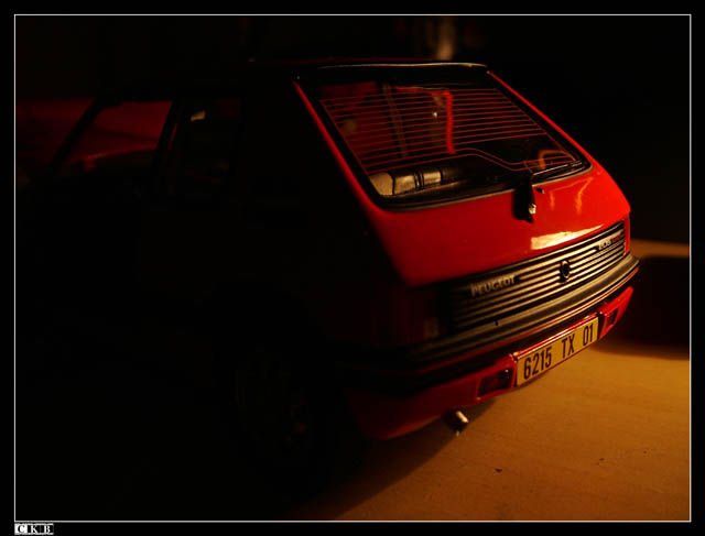 205 GTi 1/18