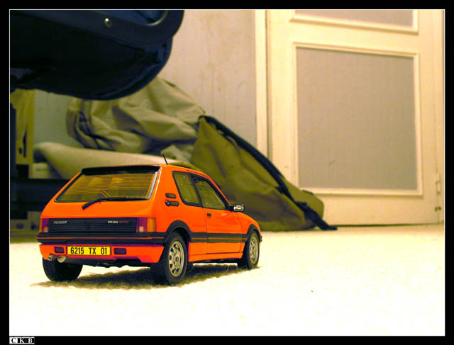 205 GTi 1/18