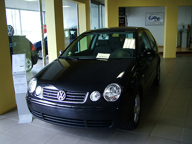 Polo1