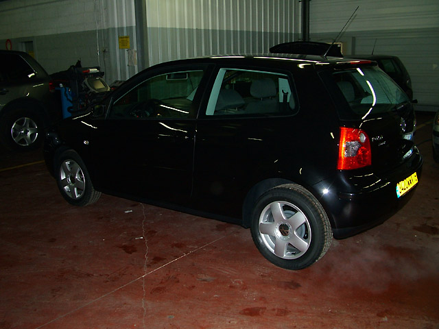 Polo4