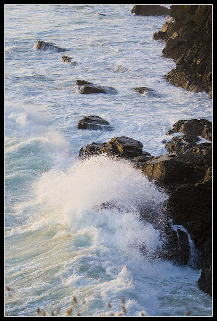 Carteret 2007 -2